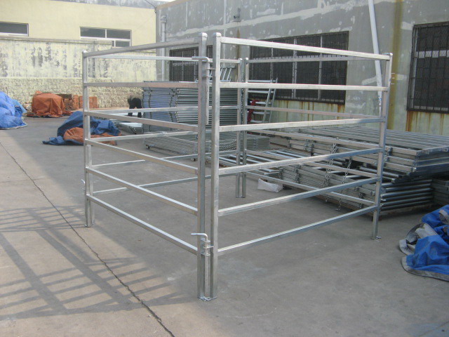 cattle panel 40 x 40mm RHS