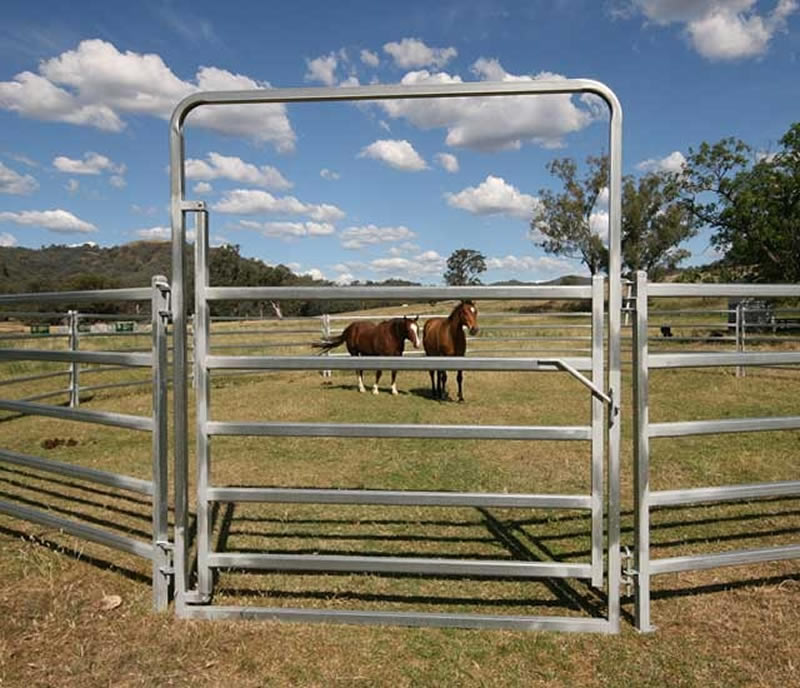 Horse round yard